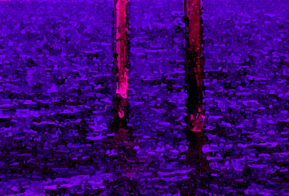 Version Purple