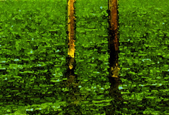 Version Green