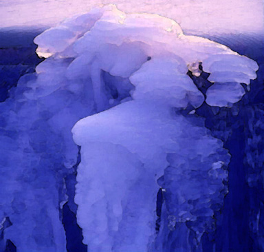 Arctic Image 20C