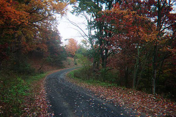 See the top of The Dome?