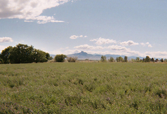Heart Mountain